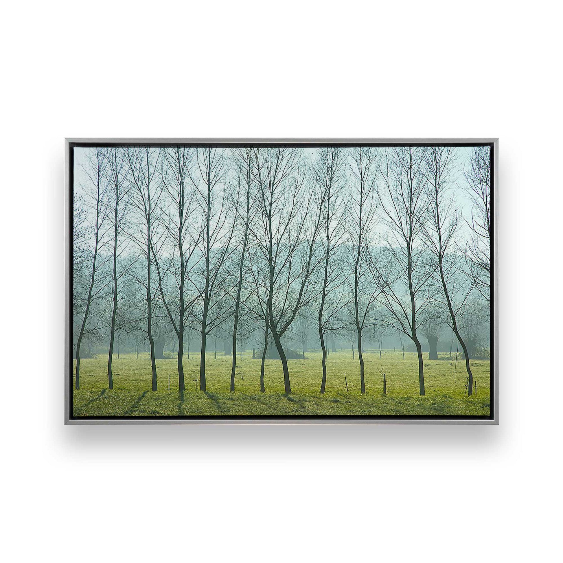 [Color:Polished Chrome], Picture of art in a Polished Chrome frame