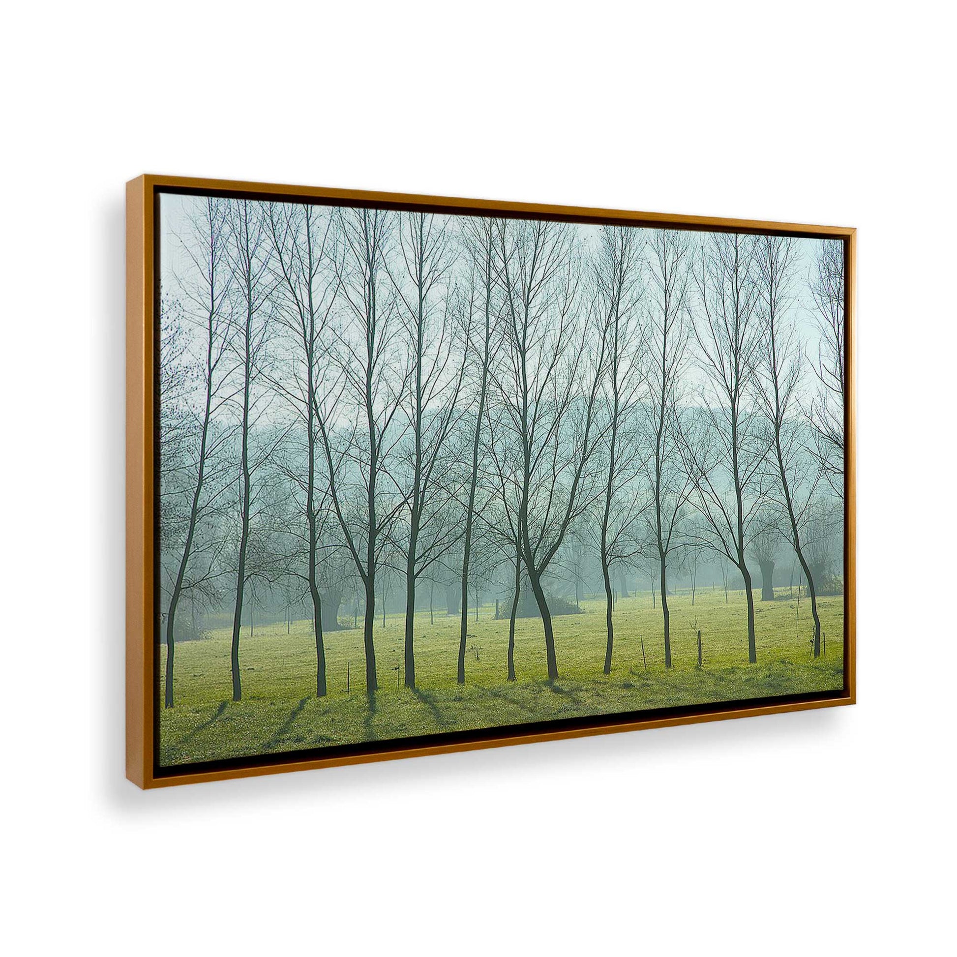 [Color:Polished Gold], Picture of the corner of the art