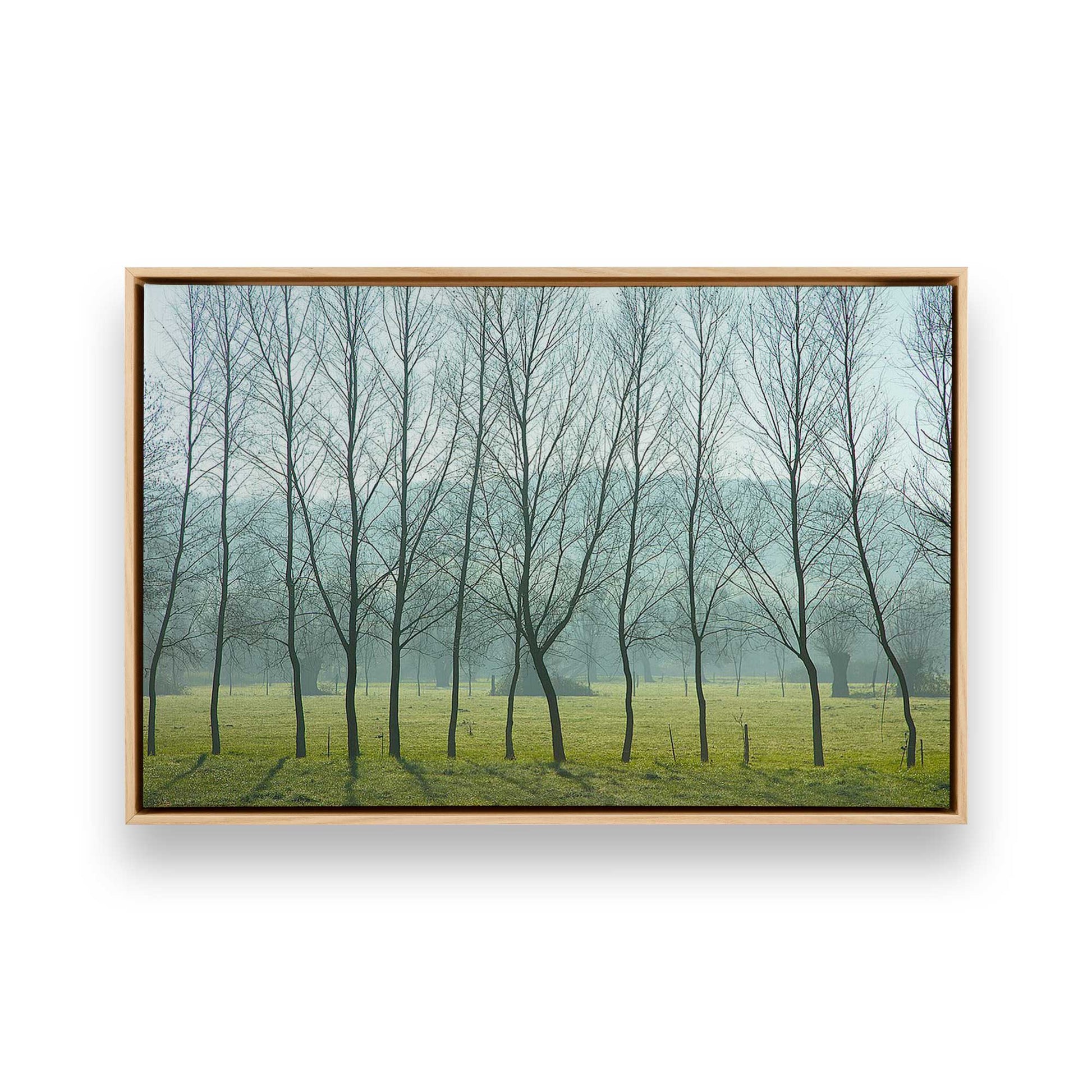[Color:American Maple], Picture of art in a American Maple frame
