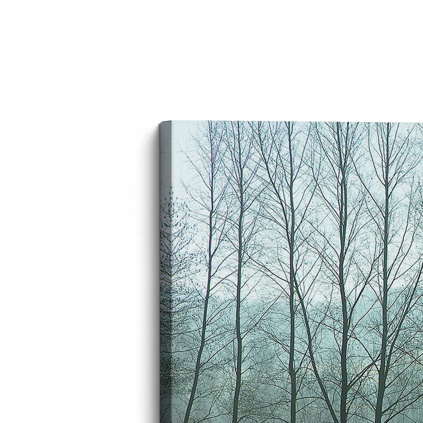 [Color:Stretched Canvas], Picture of art at an angle