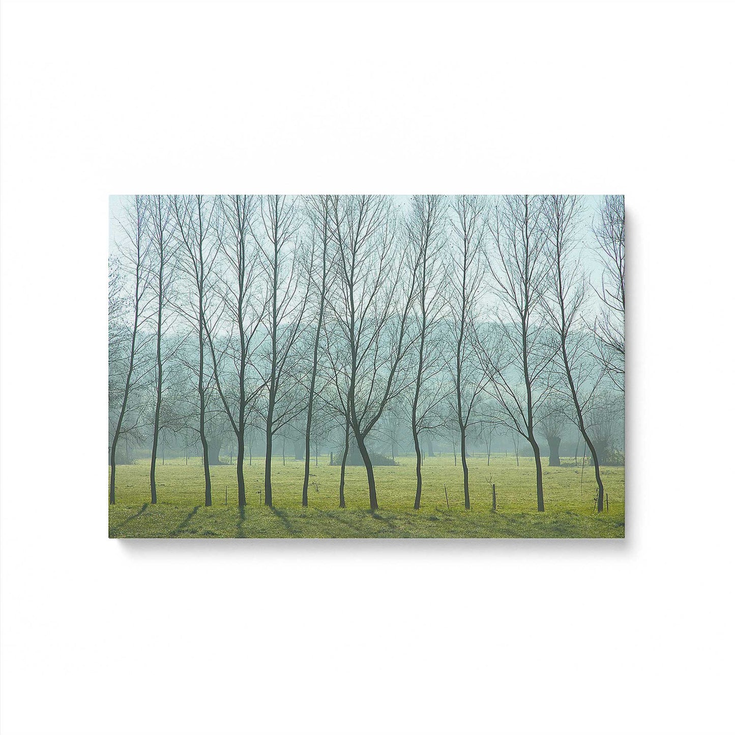 [Color:Stretched Canvas], Picture of art