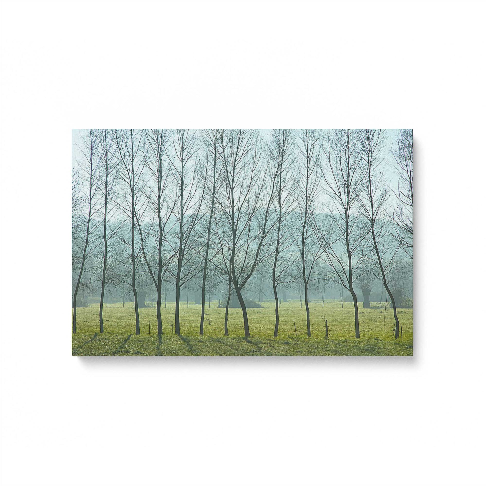 [Color:Stretched Canvas], Picture of art