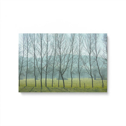[Color:Stretched Canvas], Picture of art