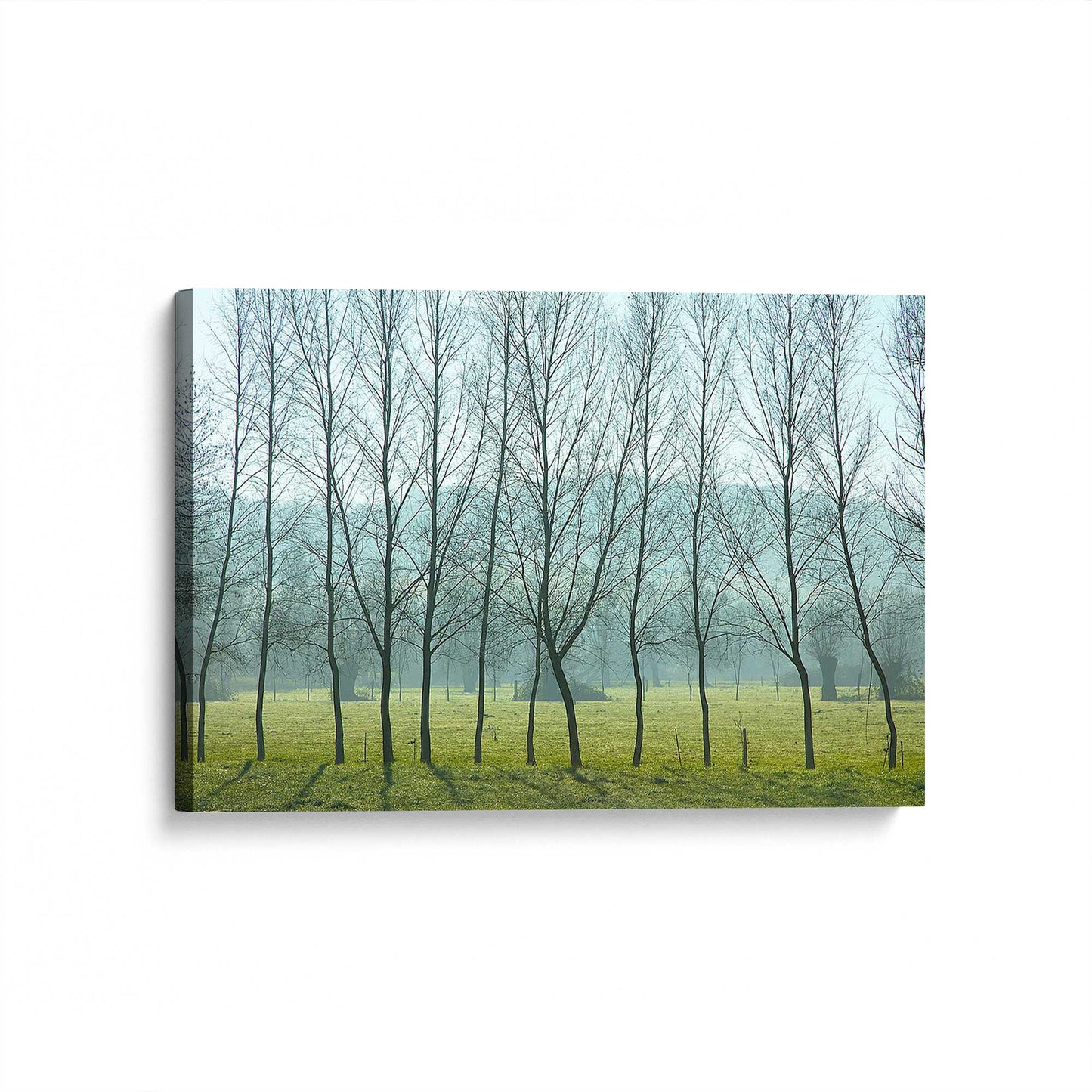 [Color:Stretched Canvas], Picture of the corner of the art