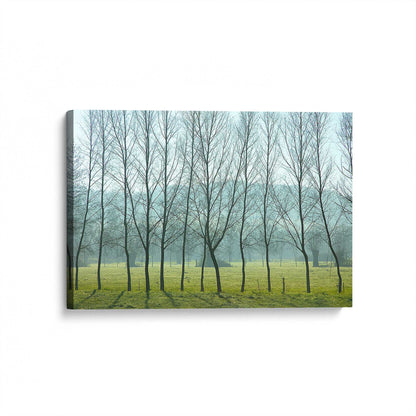 [Color:Stretched Canvas], Picture of the corner of the art
