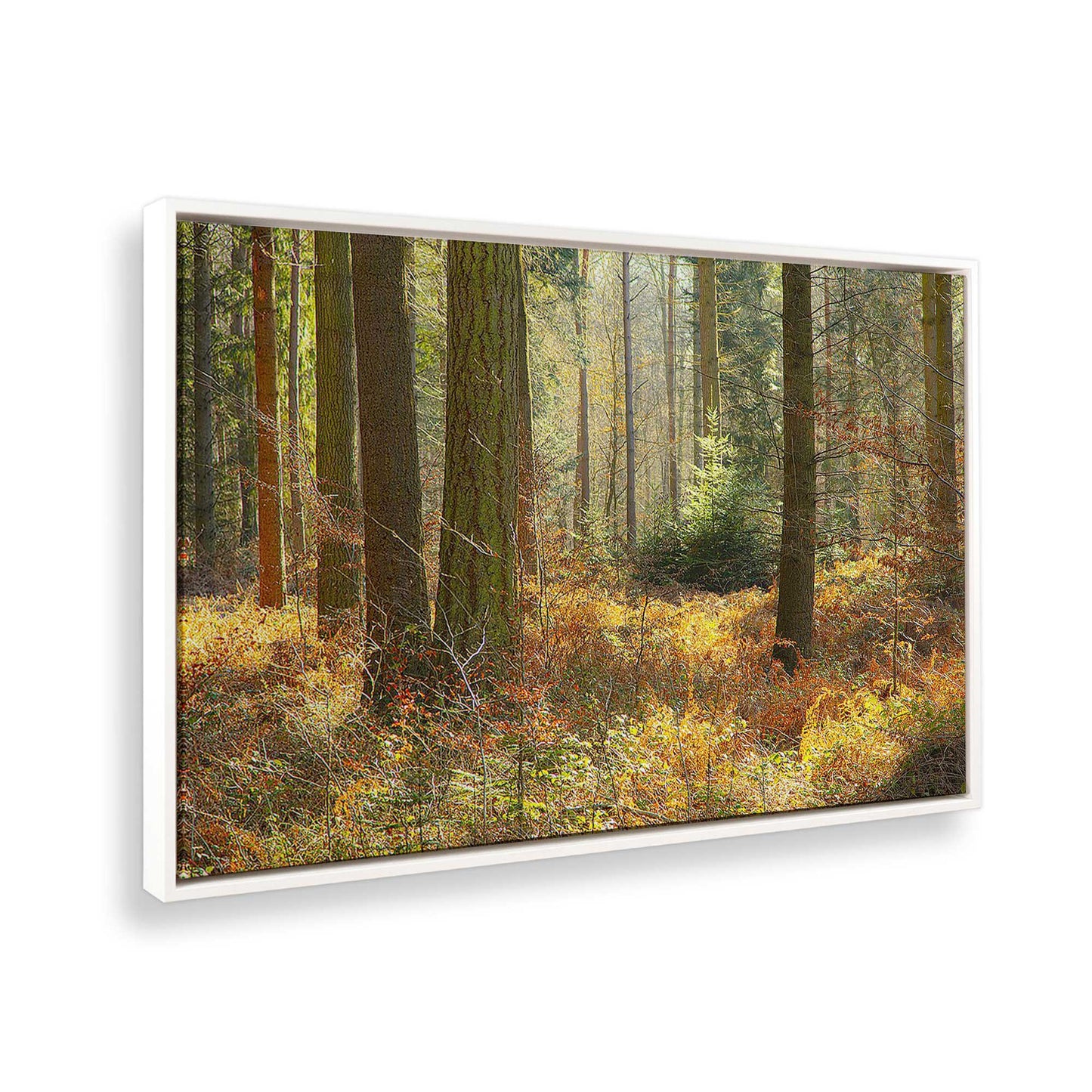 [Color:White], Picture of the corner of the art