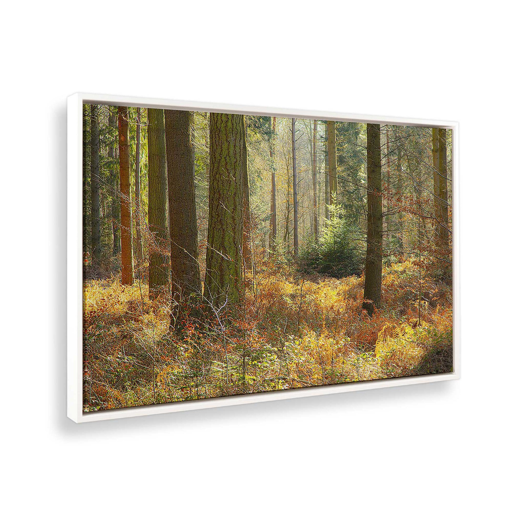 [Color:White], Picture of the corner of the art