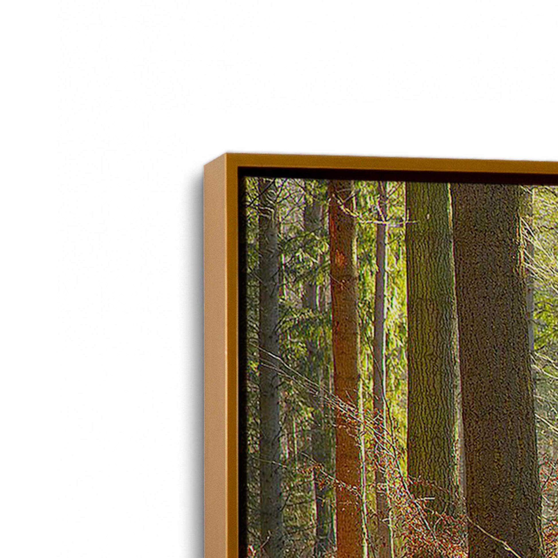[Color:Polished Gold], Picture of art in a Polished Gold frame at an angle