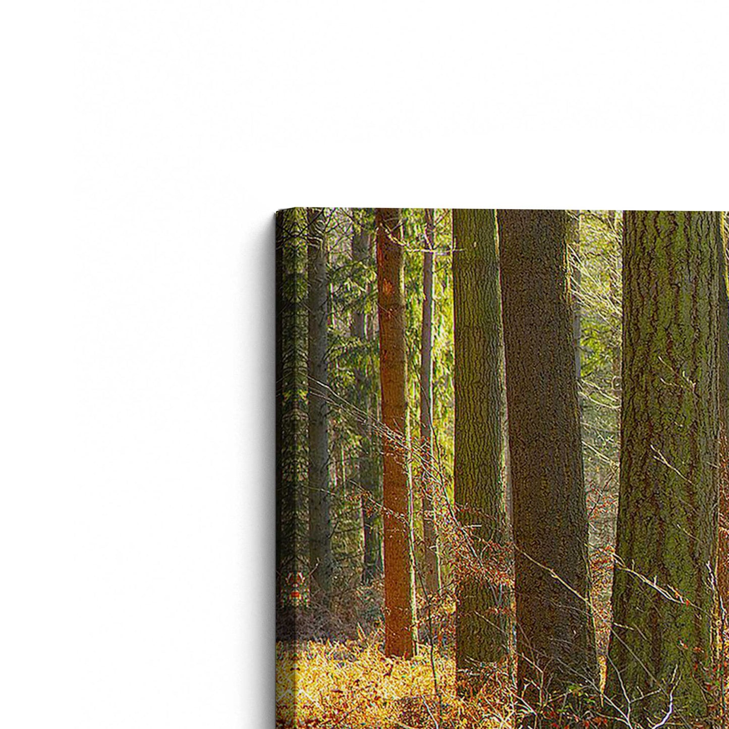 [Color:Stretched Canvas], Picture of art at an angle