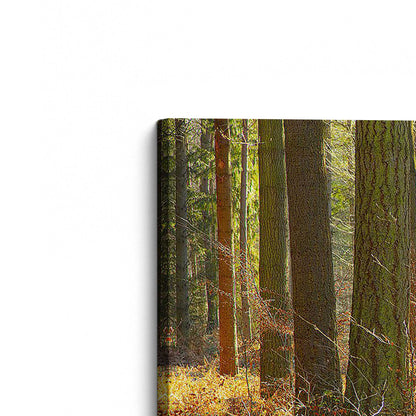 [Color:Stretched Canvas], Picture of art at an angle