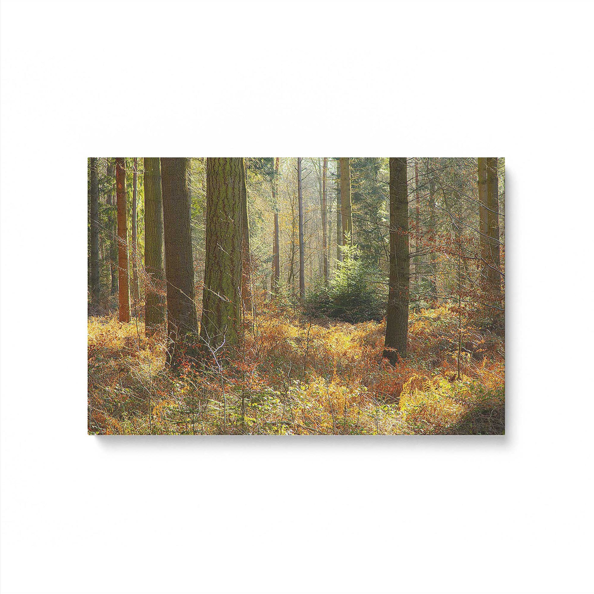 [Color:Stretched Canvas], Picture of art