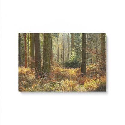 [Color:Stretched Canvas], Picture of art