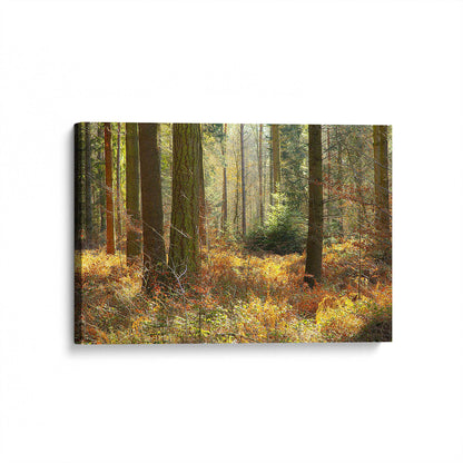 [Color:Stretched Canvas], Picture of the corner of the art