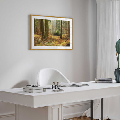 [LIFESTYLE], Picture of art in a room