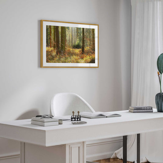 [LIFESTYLE], Picture of art in a room