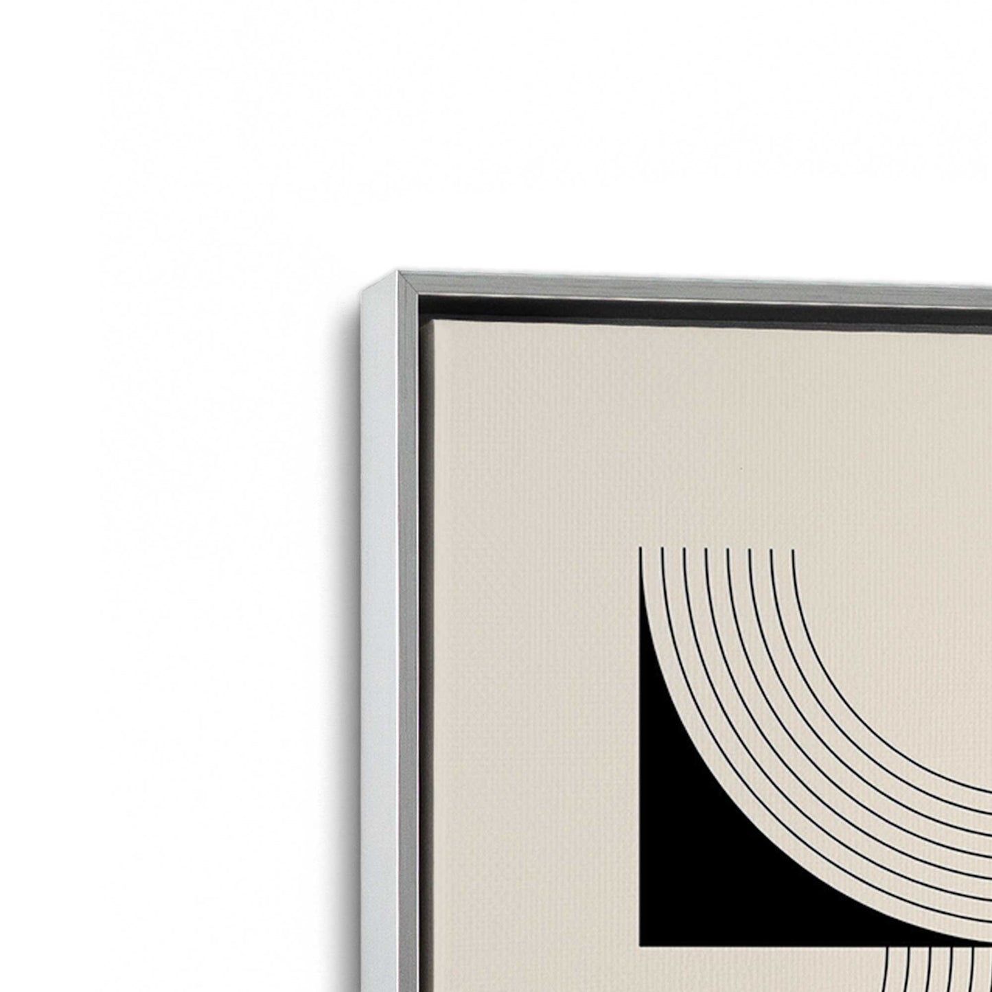 [Color:Polished Chrome], Picture of art in a Polished Chrome frame at an angle