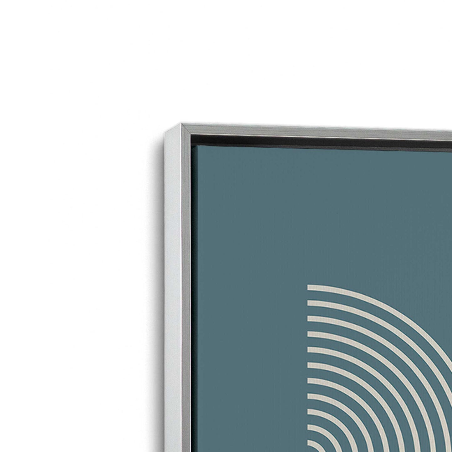[Color:Polished Chrome], Picture of art in a Polished Chrome frame at an angle
