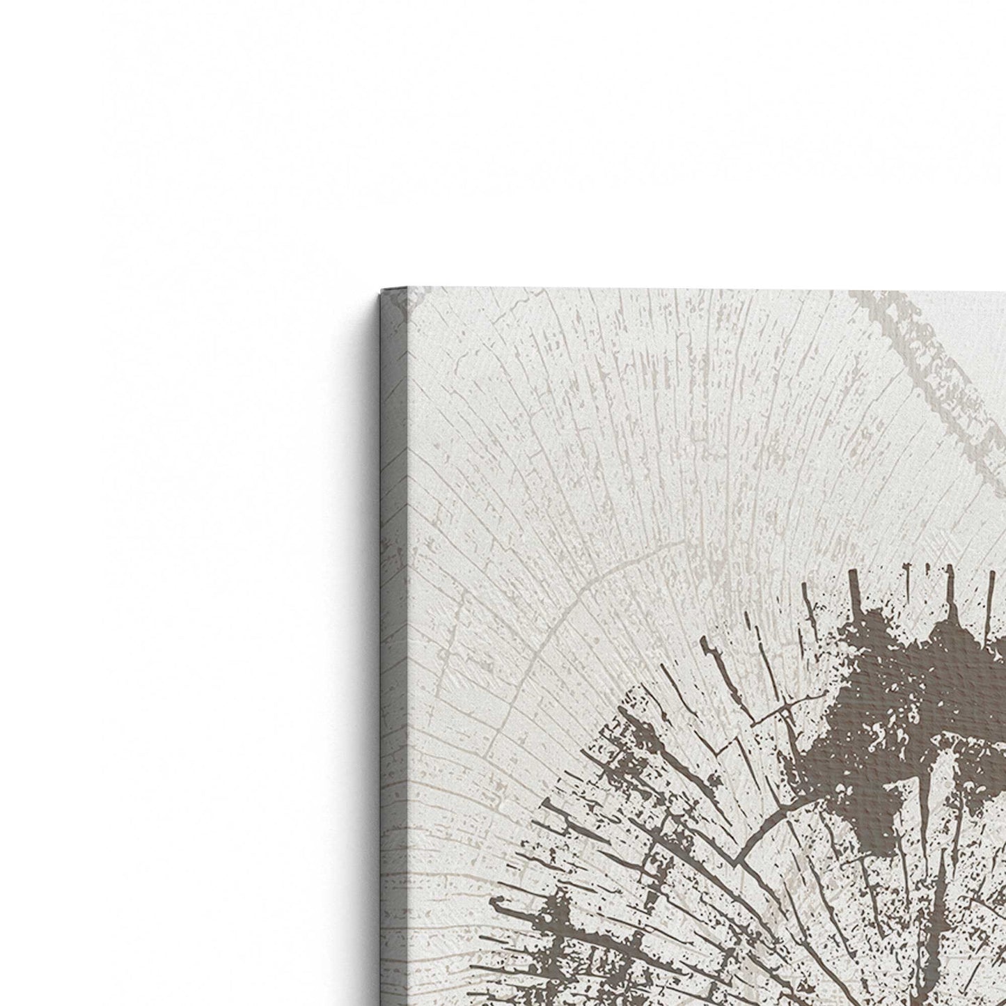 [Color:Stretched Canvas], Picture of the corner of the art