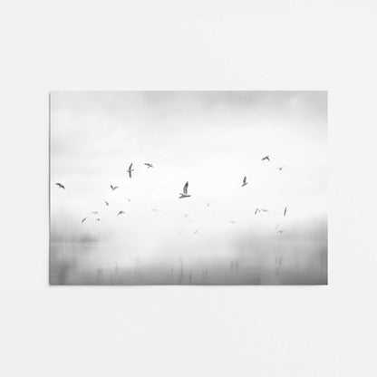 Ethereal Flight Serenade Promotional Rolled Print