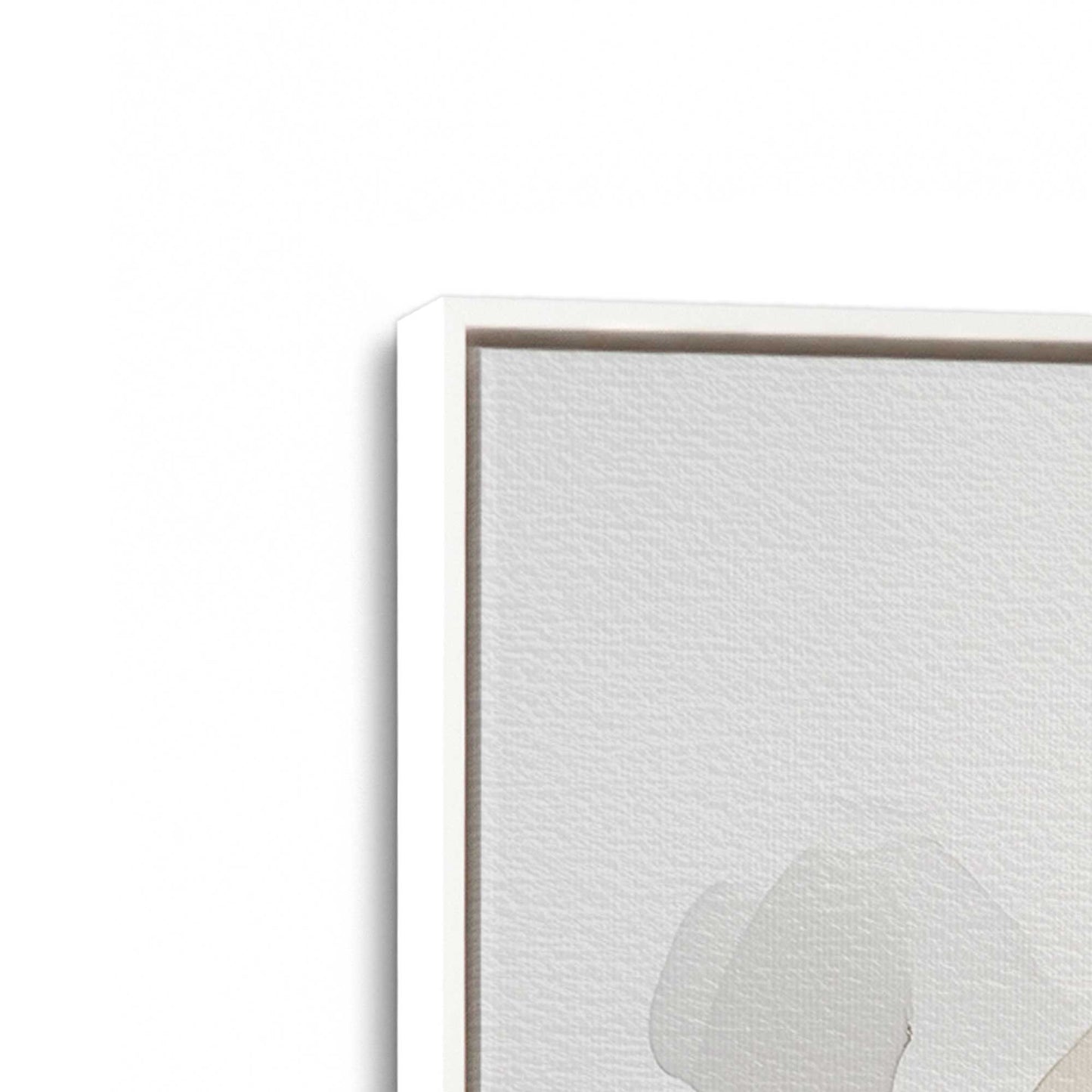 [Color:Opaque White], Picture of art in a White frame at an angle
