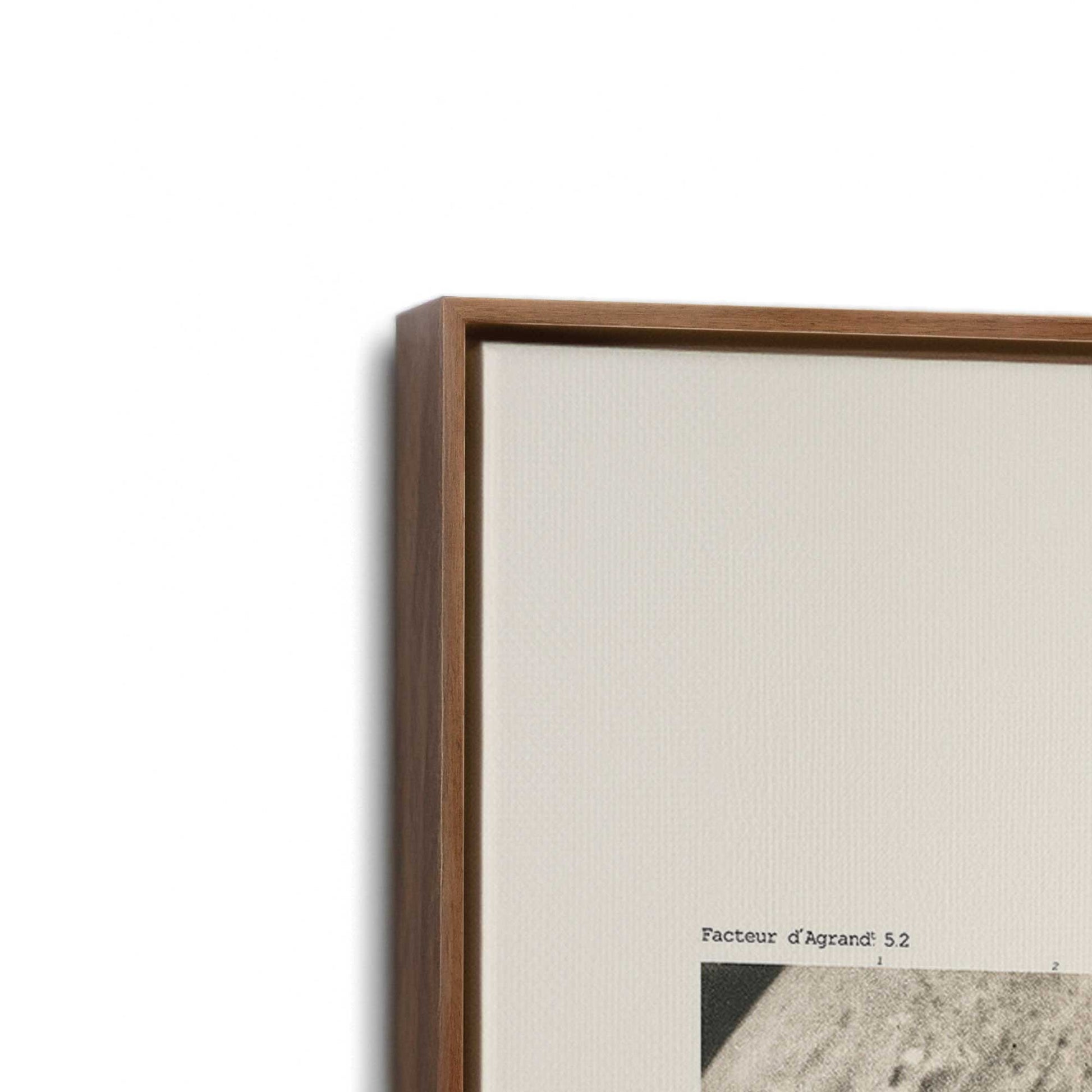 [Color:Walnut], Picture of art in a Walnut frame at an angle