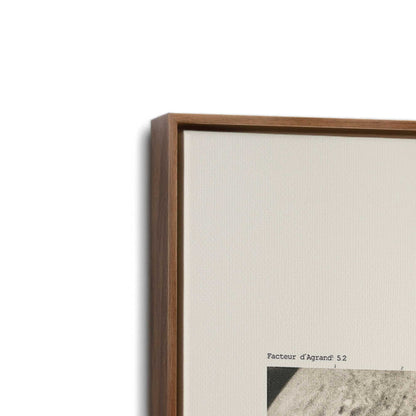 [Color:Walnut], Picture of art in a Walnut frame at an angle