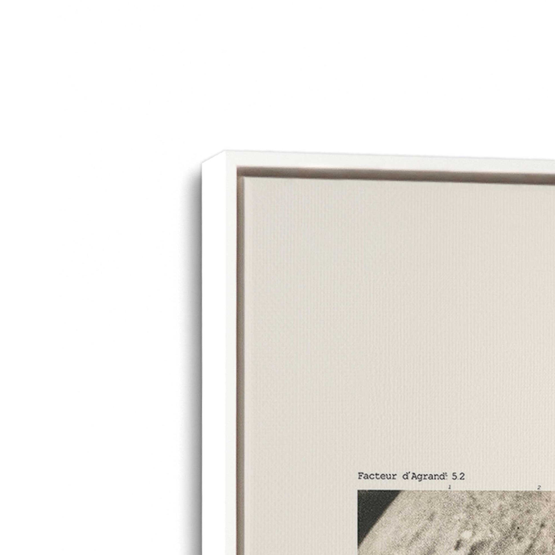 [Color:Opaque White], Picture of art in a White frame at an angle