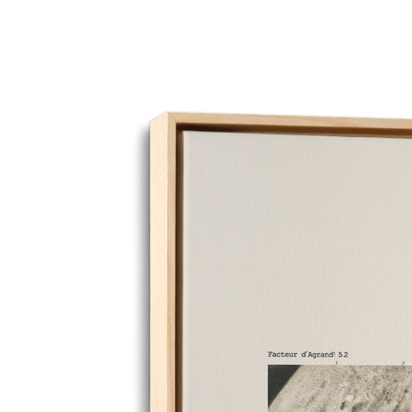 [Color:American Maple], Picture of art in a American Maple frame at an angle