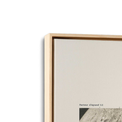 [Color:American Maple], Picture of art in a American Maple frame at an angle