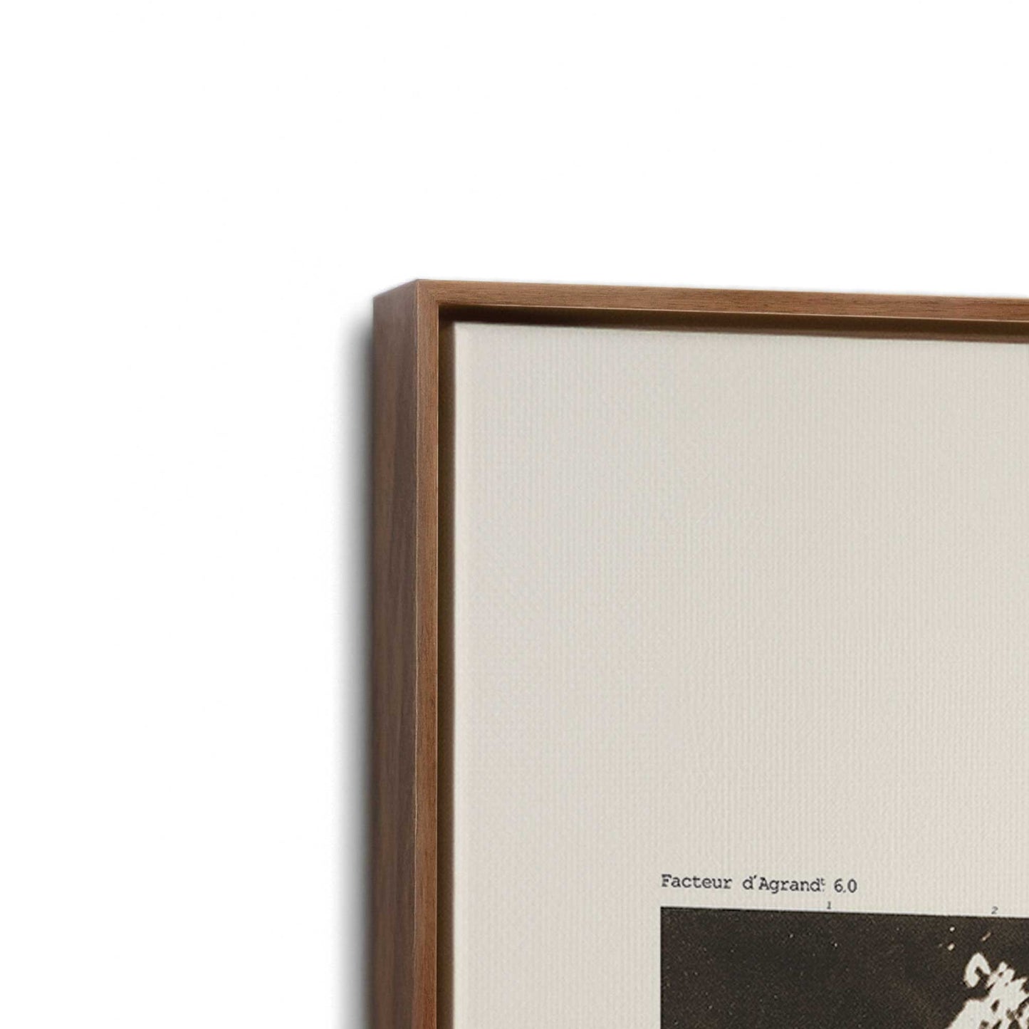 [Color:Walnut], Picture of art in a Walnut frame at an angle