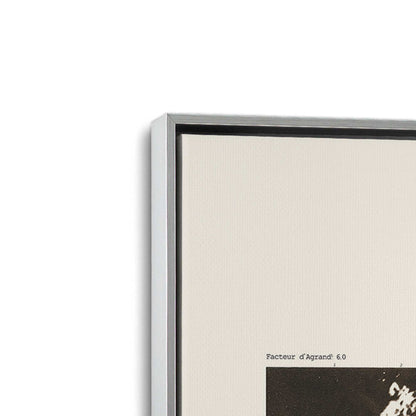 [Color:Polished Chrome], Picture of art in a Polished Chrome frame at an angle