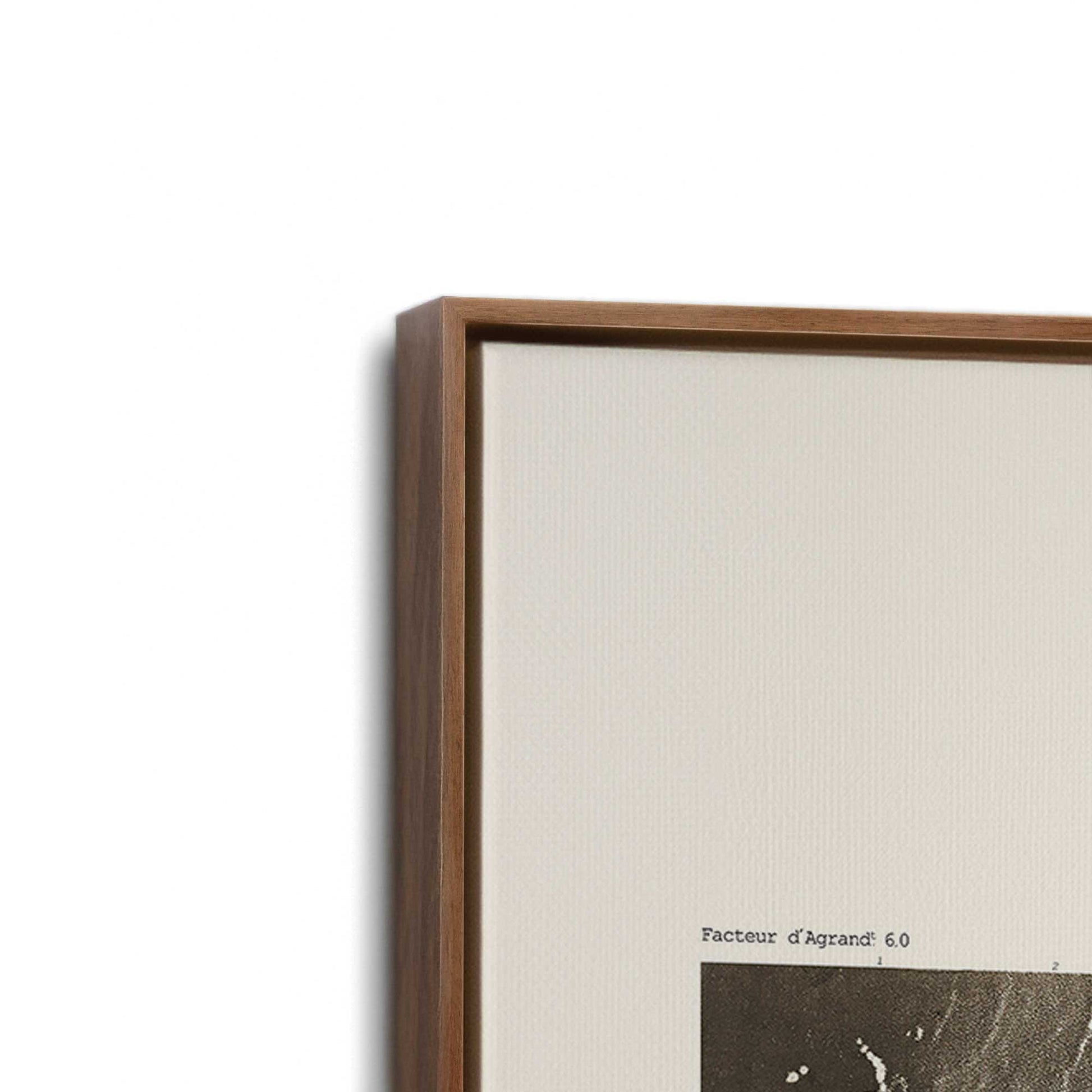 [Color:Walnut], Picture of art in a Walnut frame at an angle