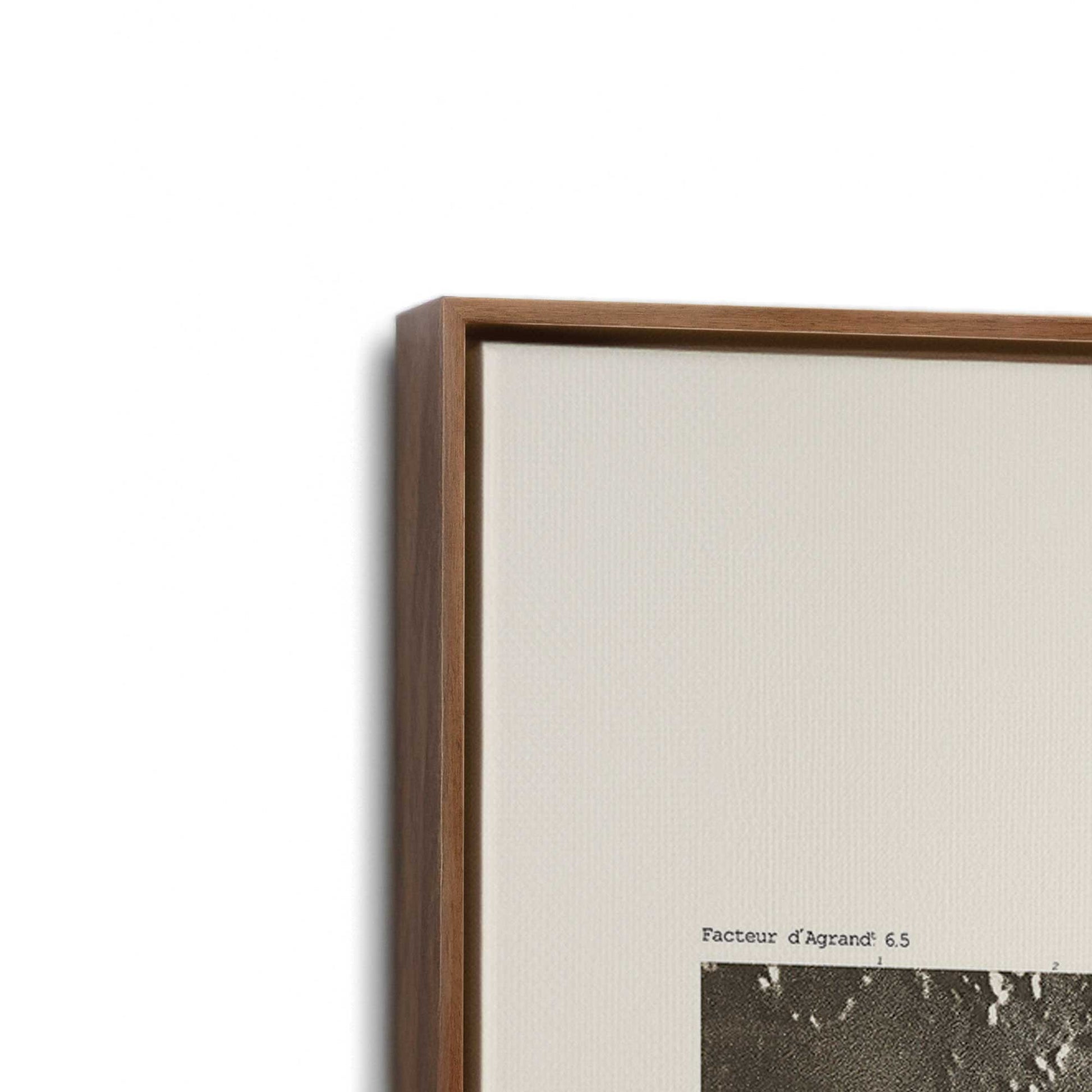 [Color:Walnut], Picture of art in a Walnut frame at an angle