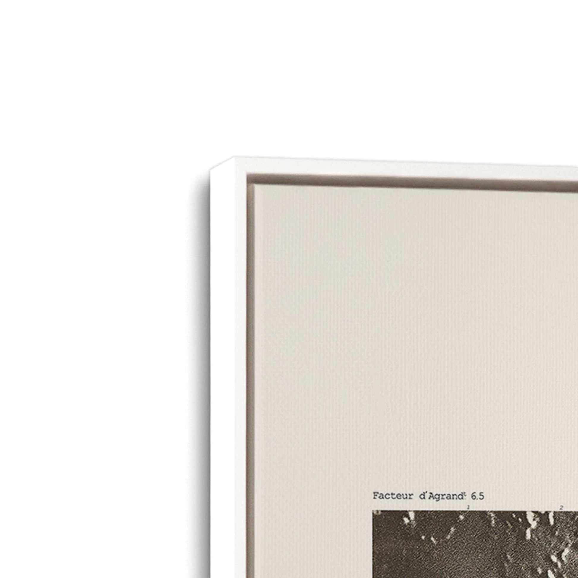 [Color:Opaque White], Picture of art in a White frame at an angle
