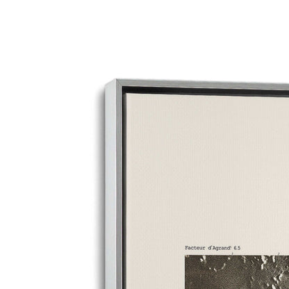 [Color:Polished Chrome], Picture of art in a Polished Chrome frame at an angle