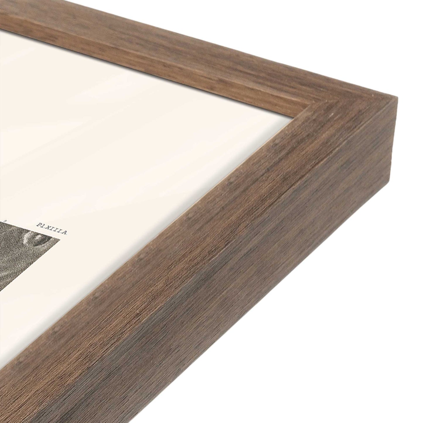 [Color:Walnut], Picture of art in a Walnut frame at an angle