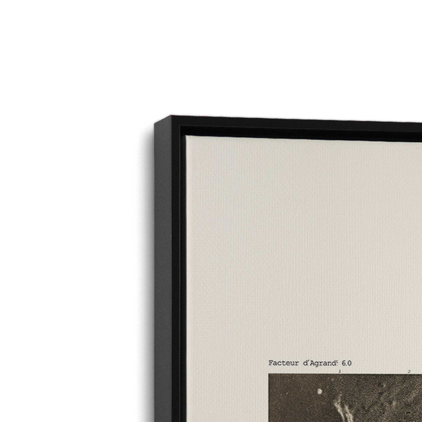[Color:Satin Black], Picture of art in a Satin Black frame at an angle