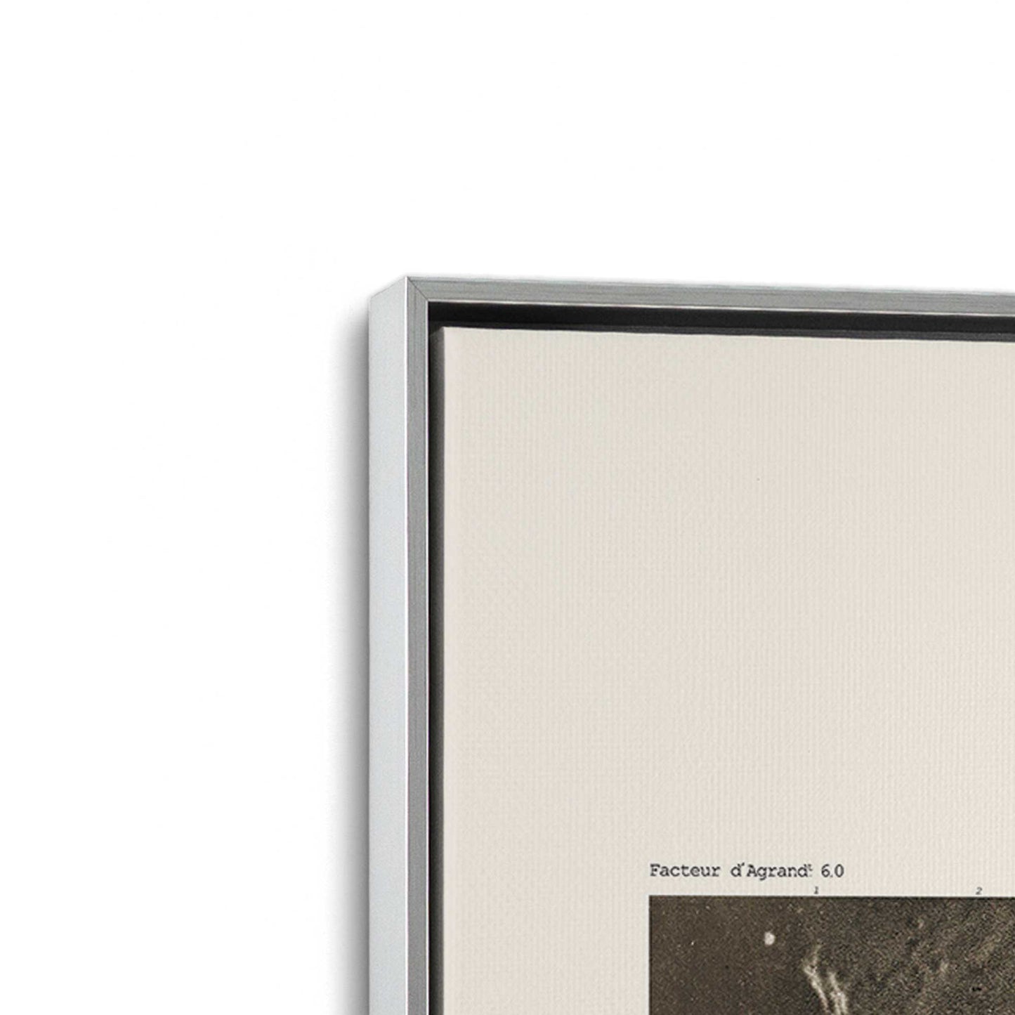 [Color:Polished Chrome], Picture of art in a Polished Chrome frame at an angle