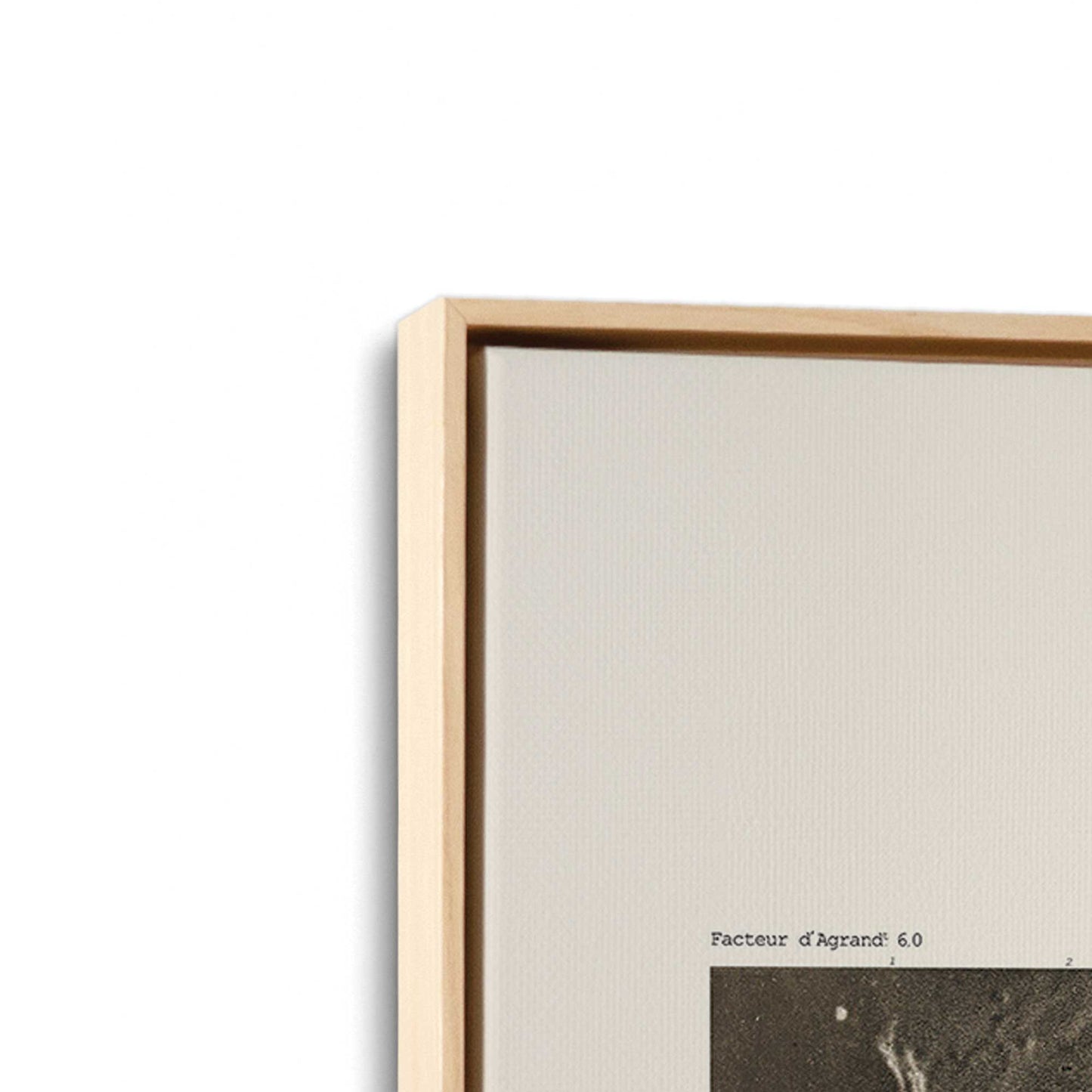 [Color:American Maple], Picture of art in a American Maple frame at an angle