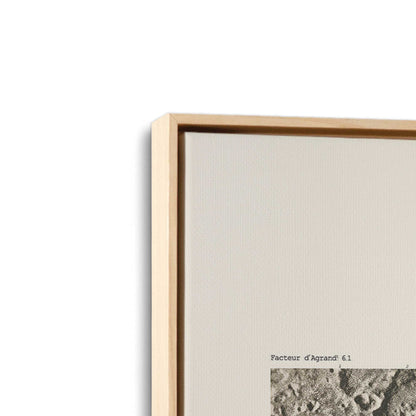 [Color:American Maple], Picture of art in a American Maple frame at an angle