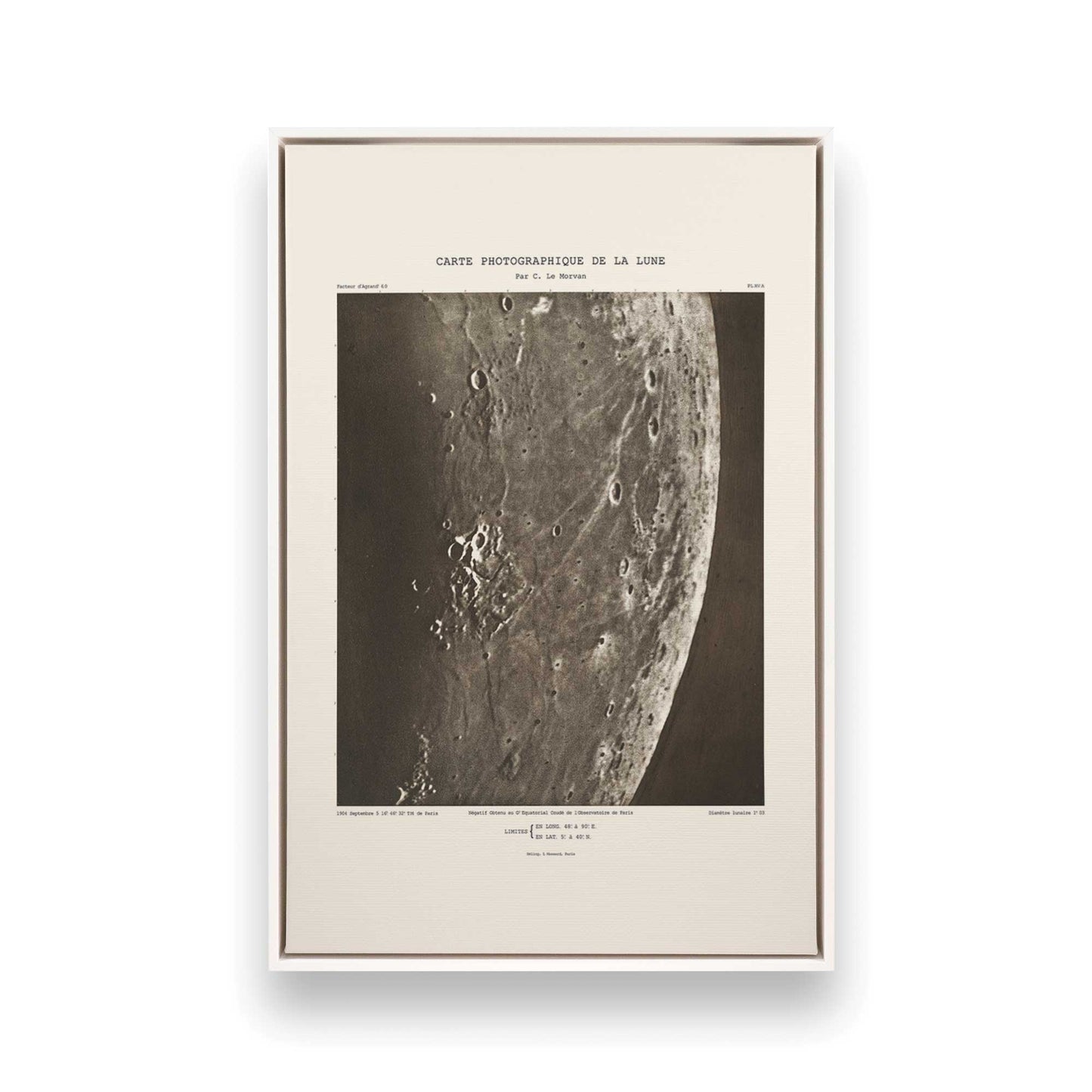 [Color:Opaque White], Picture of art in a White frame