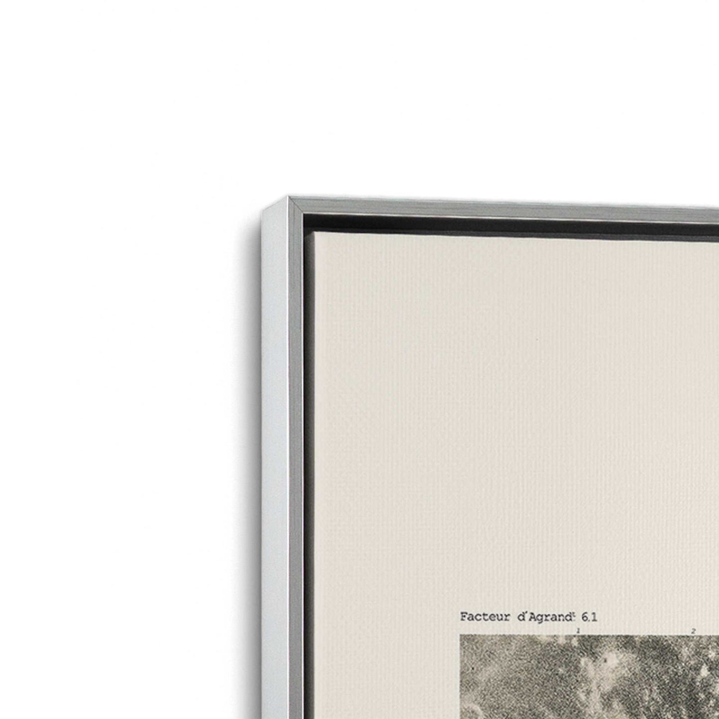 [Color:Polished Chrome], Picture of art in a Polished Chrome frame at an angle