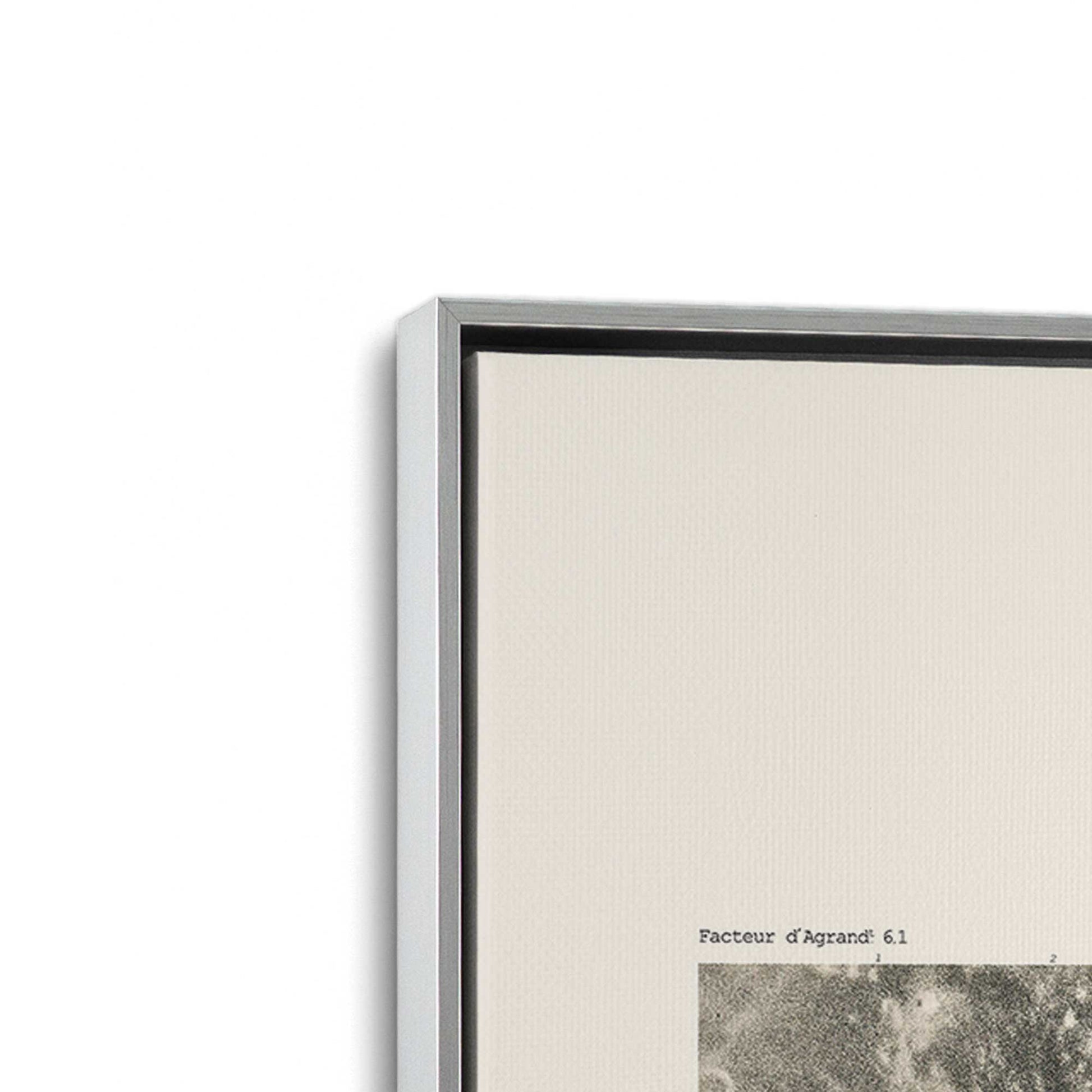[Color:Polished Chrome], Picture of art in a Polished Chrome frame at an angle