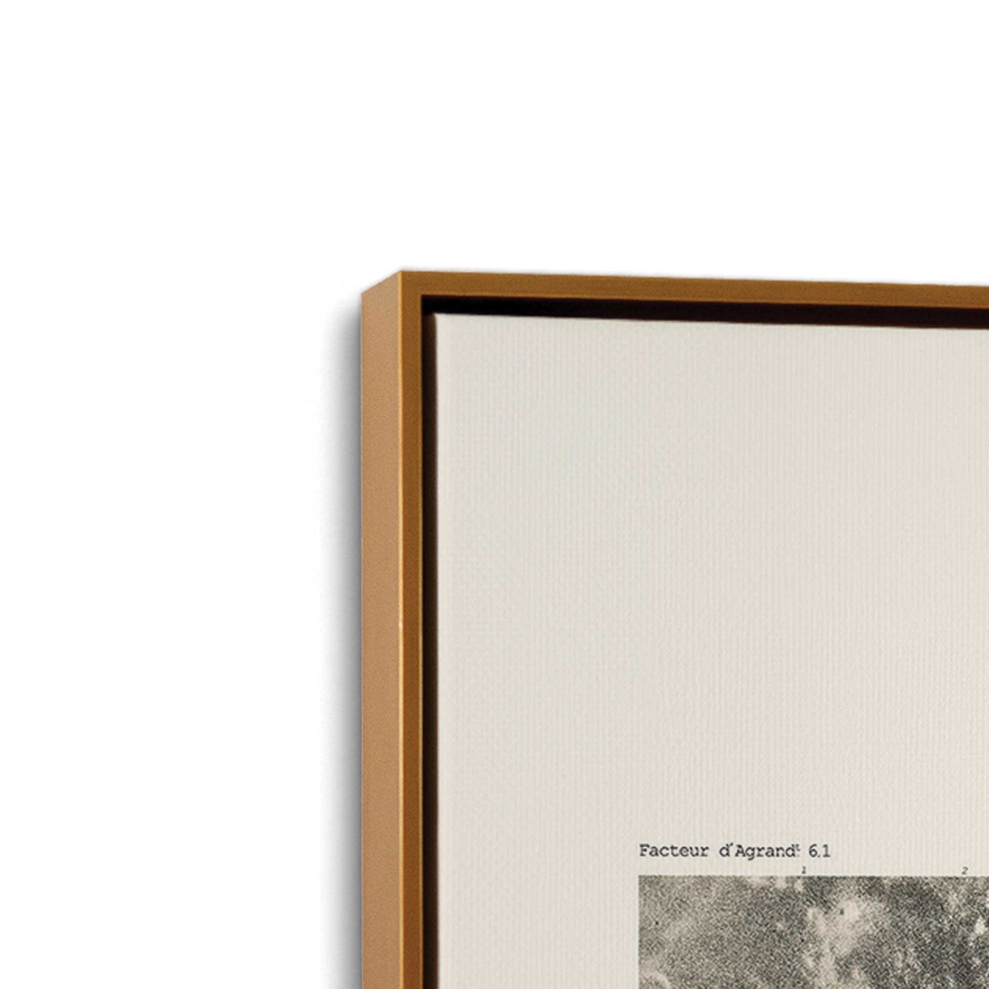 [Color:Polished Gold], Picture of art in a Polished Gold frame at an angle