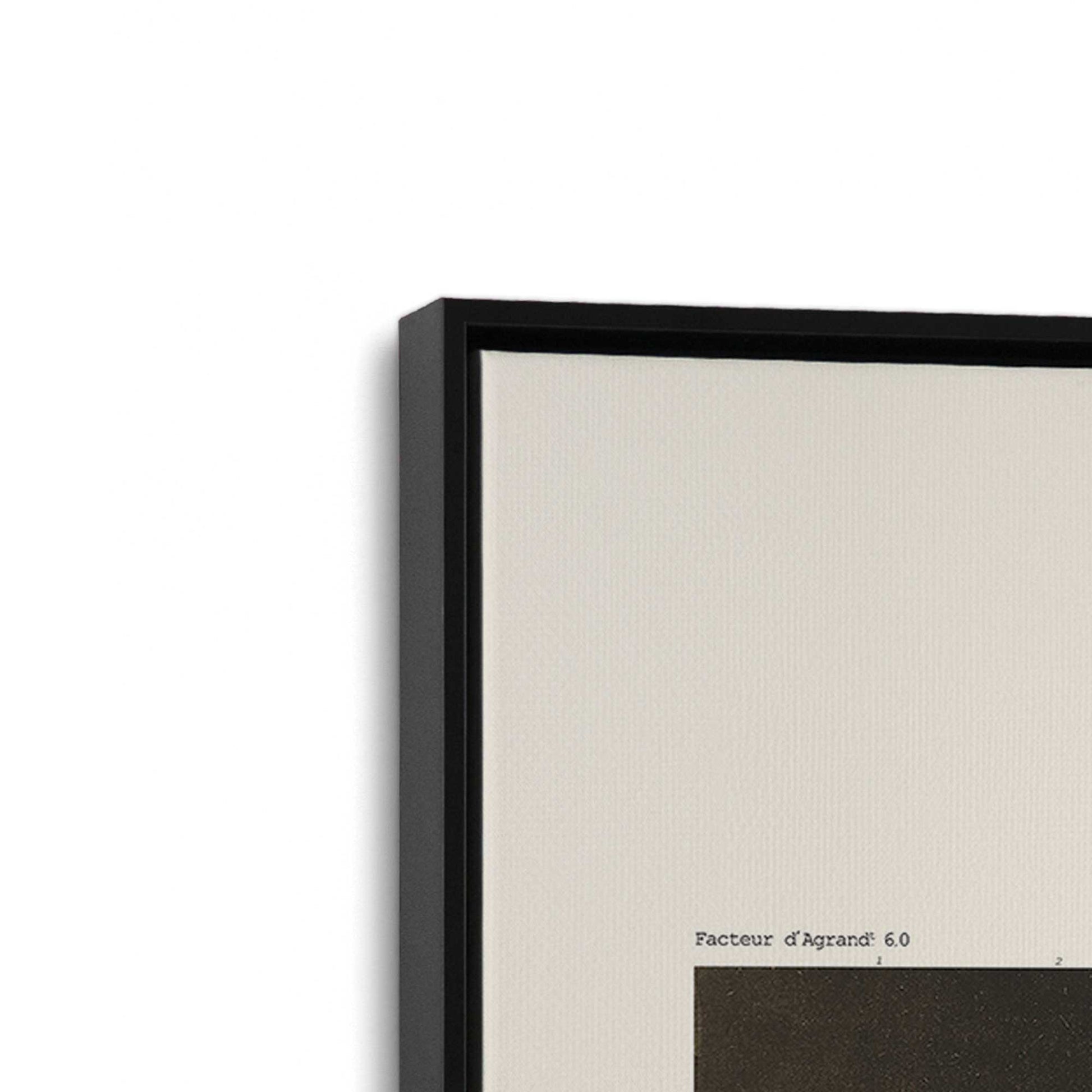 [Color:Satin Black], Picture of art in a Satin Black frame at an angle