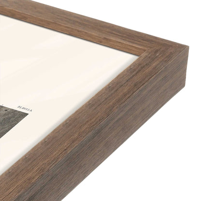 [Color:Walnut], Picture of art in a Walnut frame at an angle