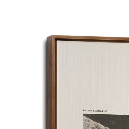 [Color:Walnut], Picture of art in a Walnut frame at an angle