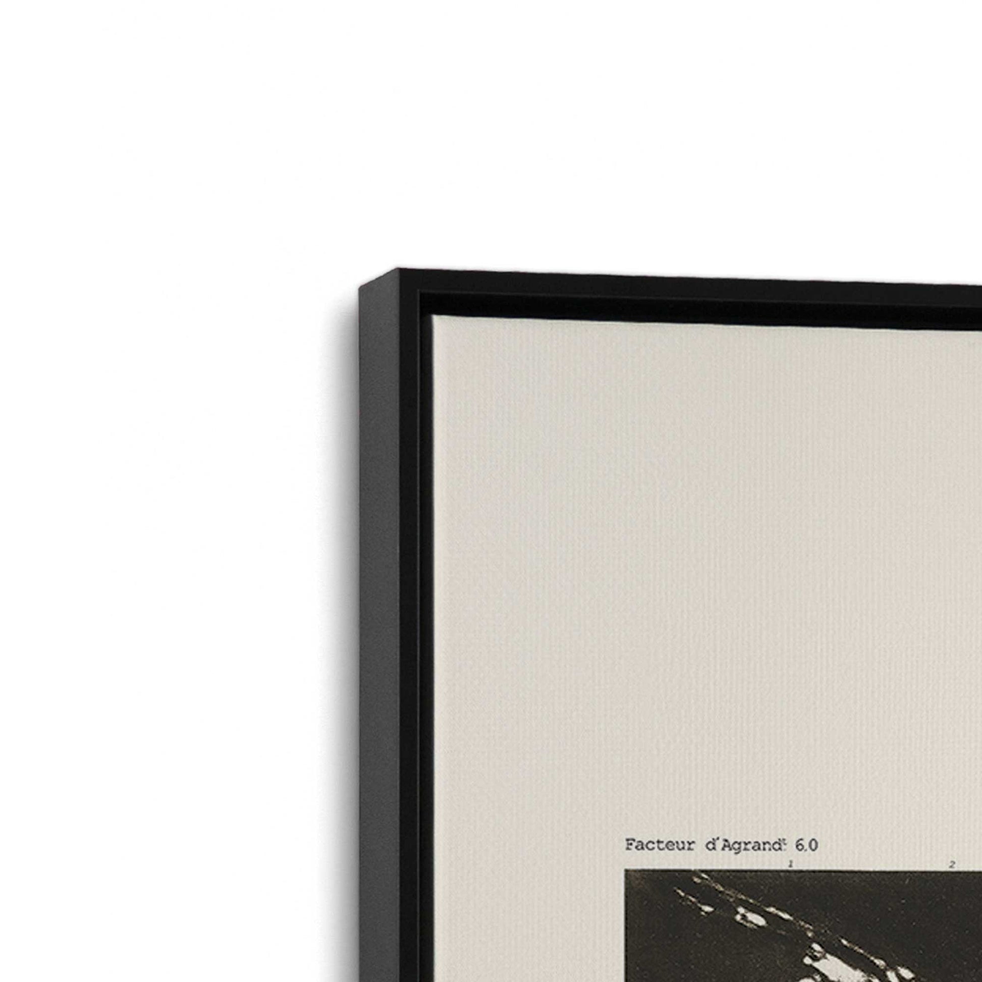 [Color:Satin Black], Picture of art in a Satin Black frame at an angle