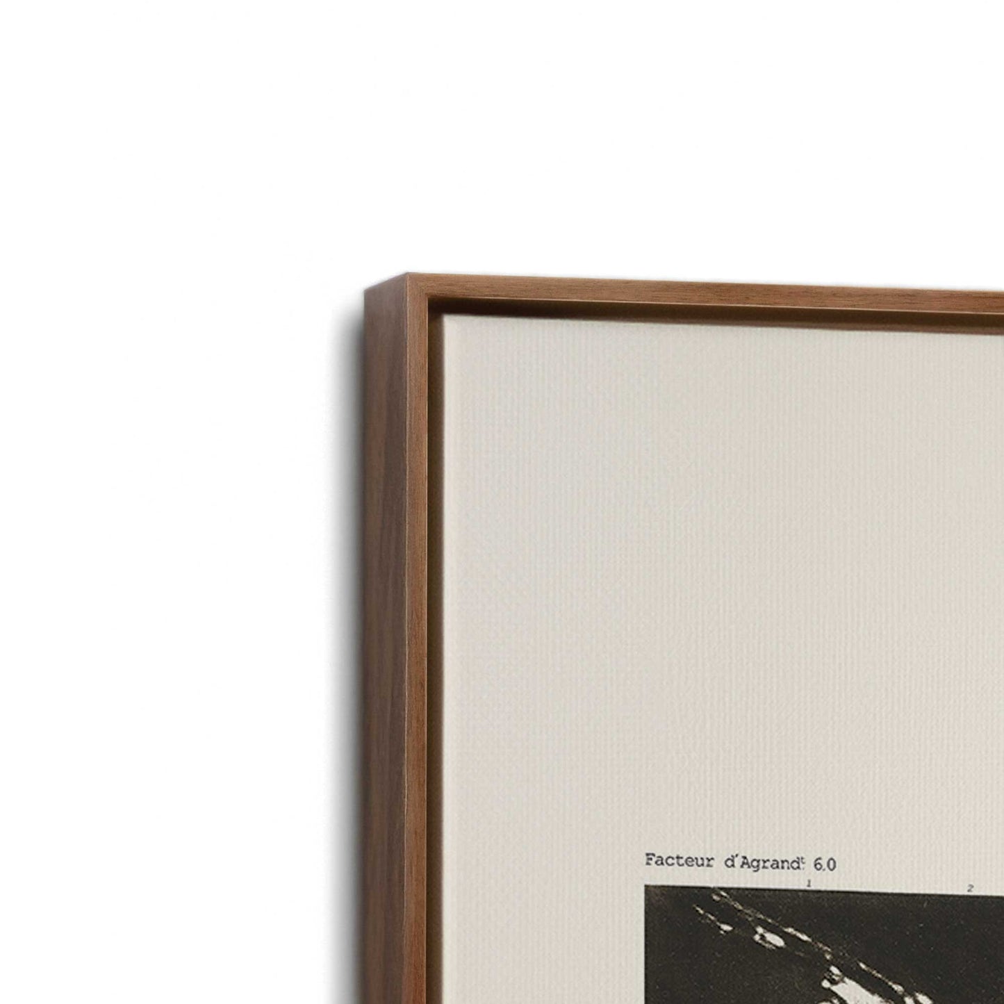 [Color:Walnut], Picture of art in a Walnut frame at an angle