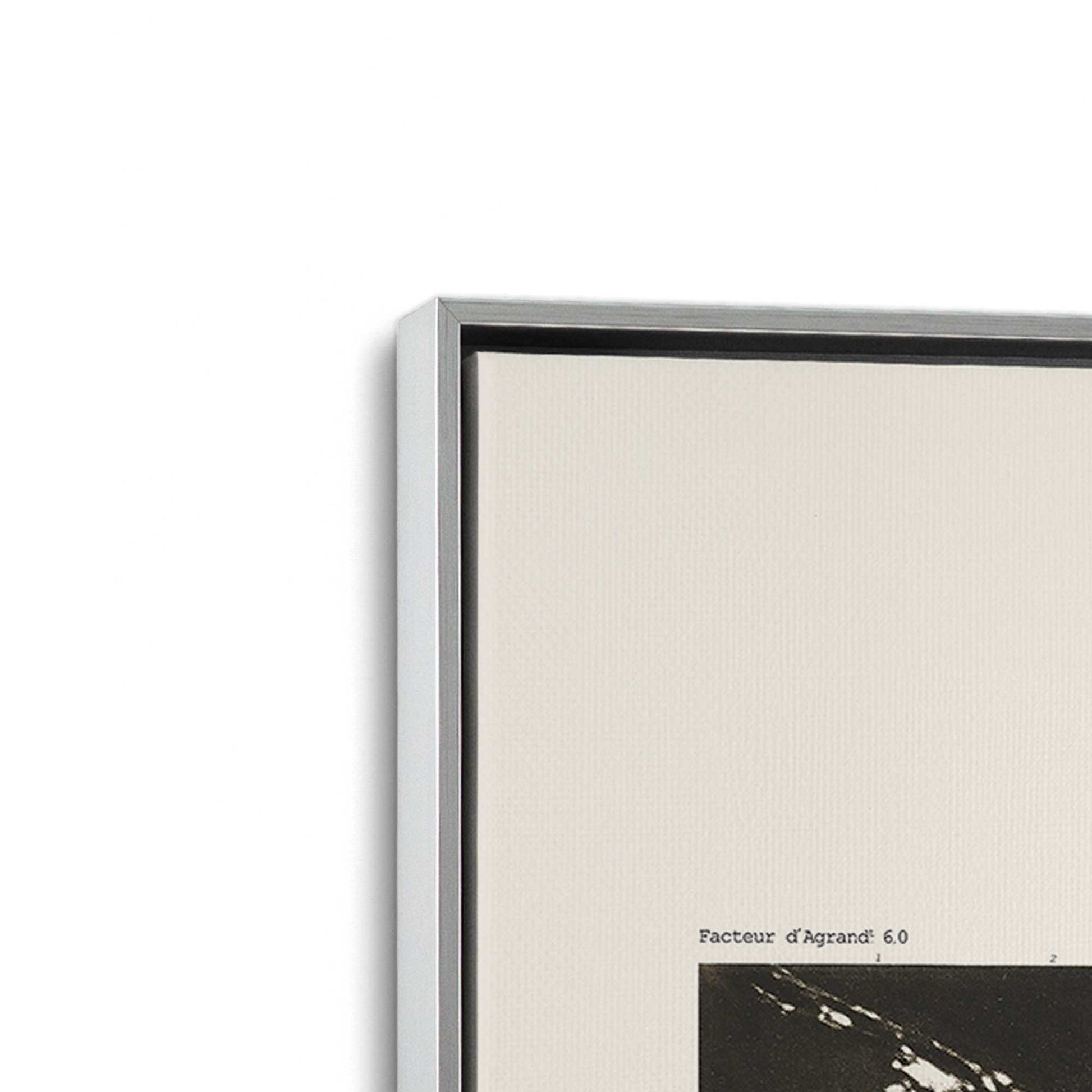 [Color:Polished Chrome], Picture of art in a Polished Chrome frame at an angle
